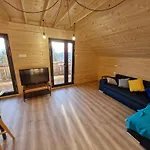 샬레 Moderne Pour 14 Pers Avec Parking Prive - Fr-1-814-121