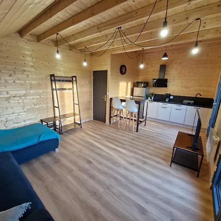 Moderne Pour 14 Pers Avec Parking Prive - Fr-1-814-121 Besse-et-Saint-Anastaise